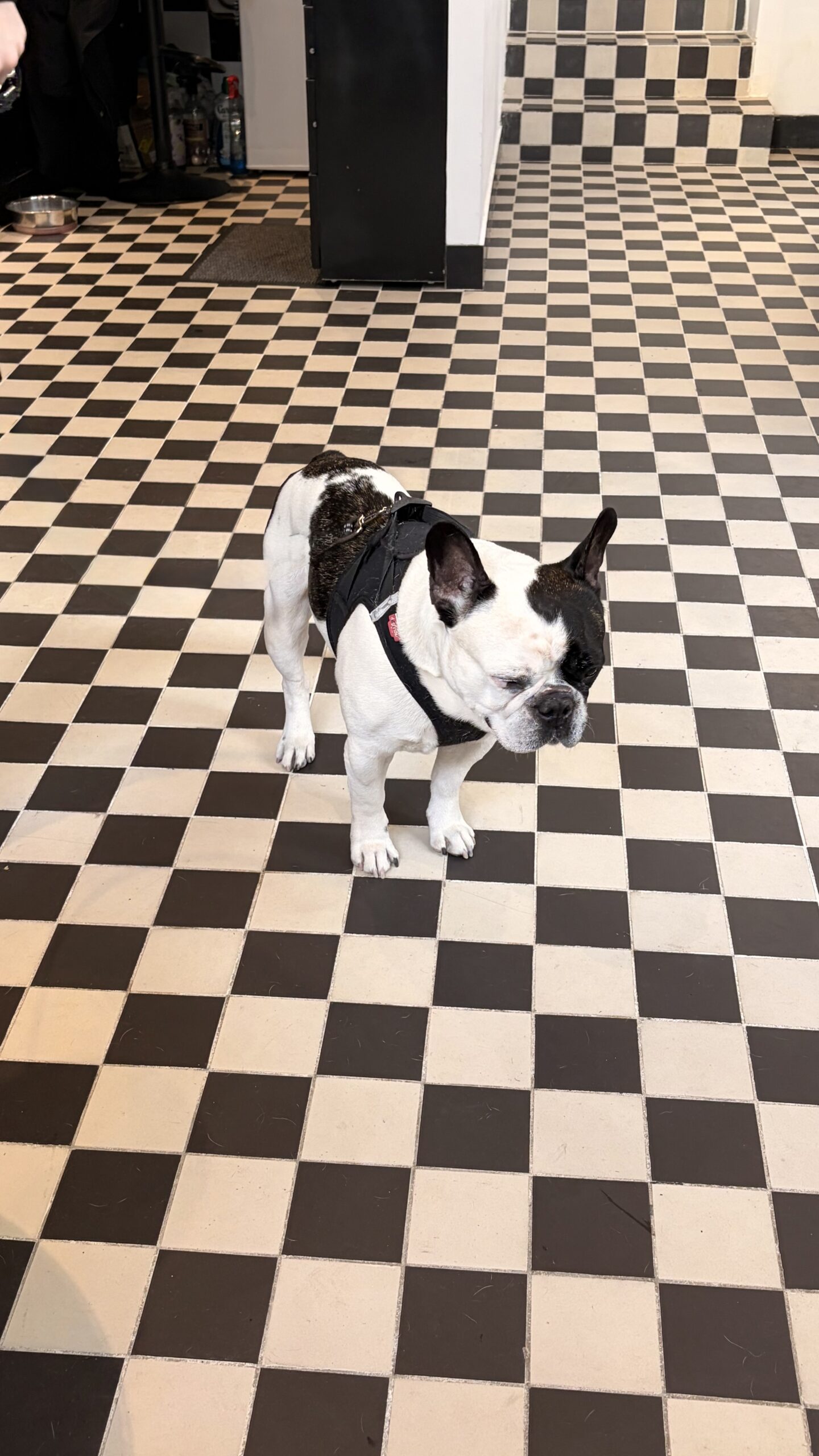 IMG_1658